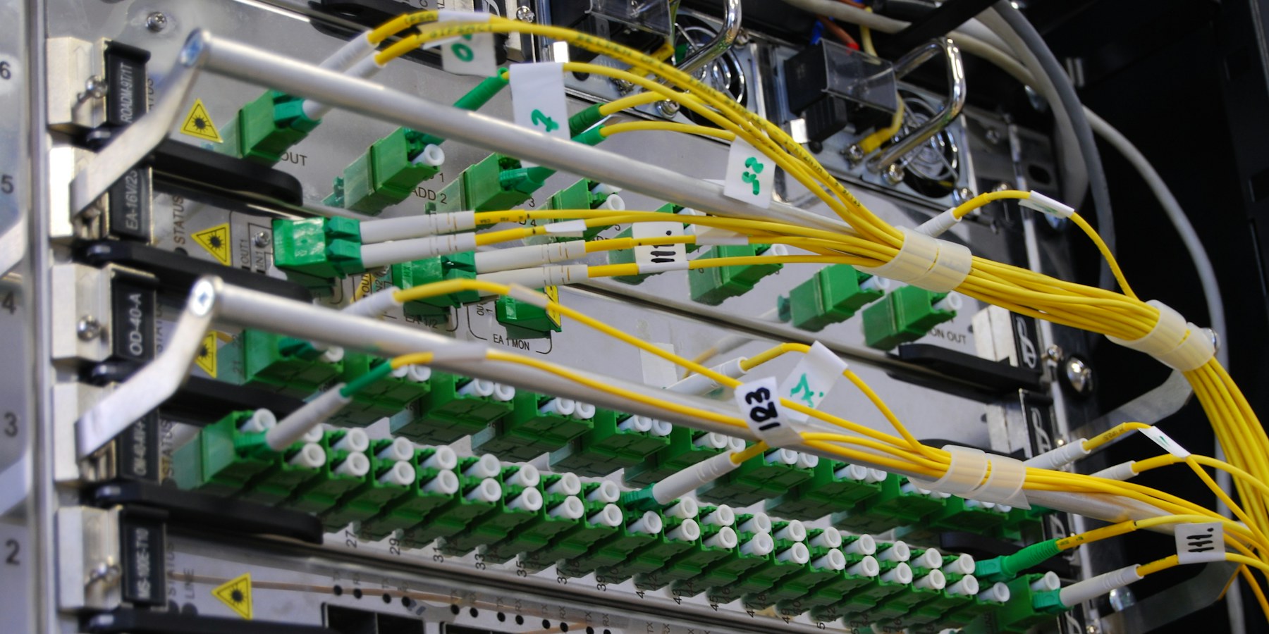 Cables de fibra óptica conectados a un equipo de red (imagen ilustrativa)