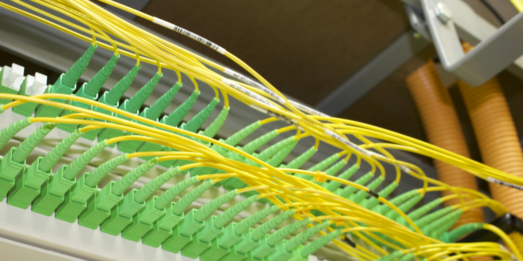 Bandeja de fibra óptica con conectores verdes y patch cords amarillos (imagen ilustrativa)